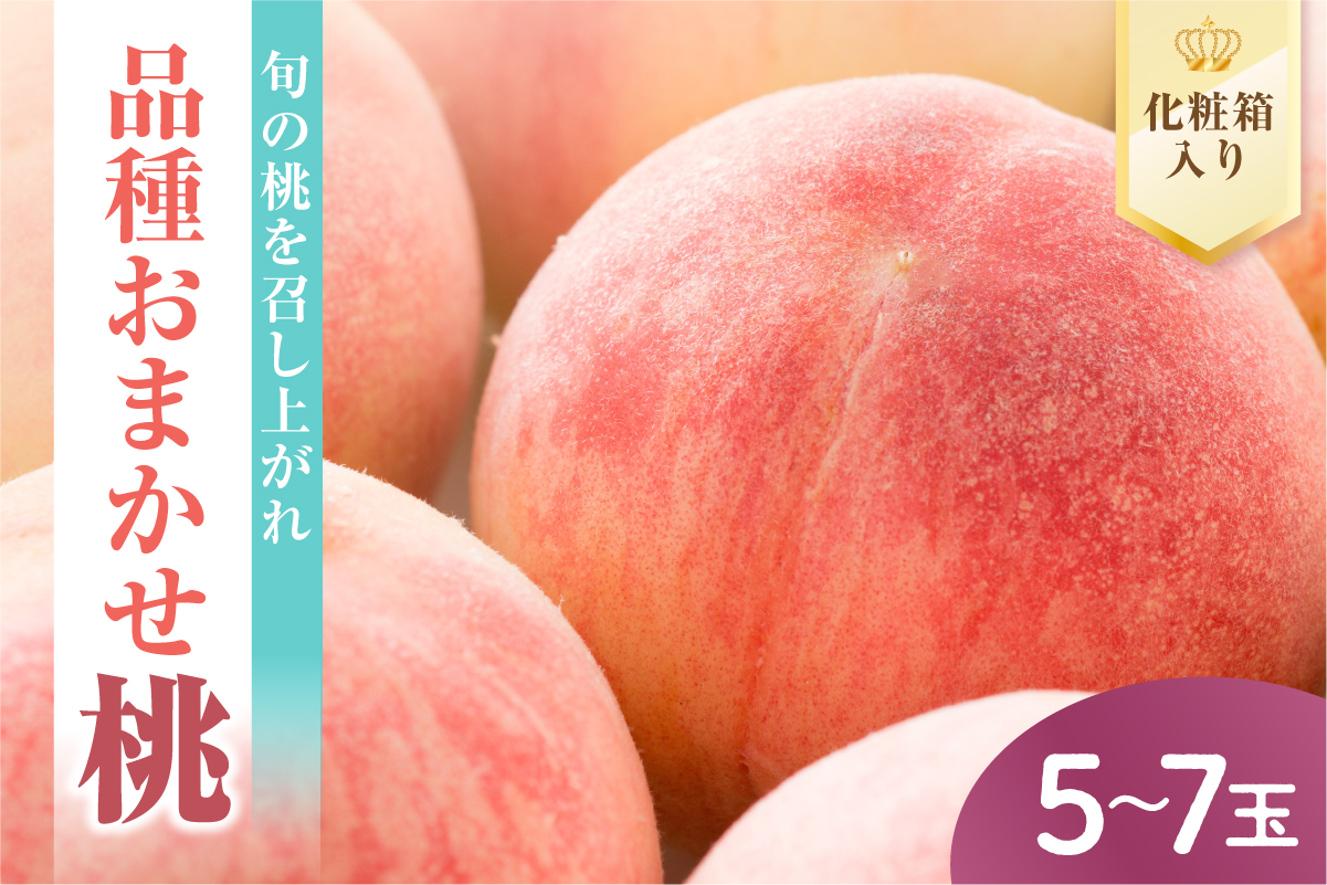 【先行予約】 数量限定 令和8年産 もも 5～7玉 品種 おまかせ 2026年8月中下旬～9月上旬頃 お届け予定