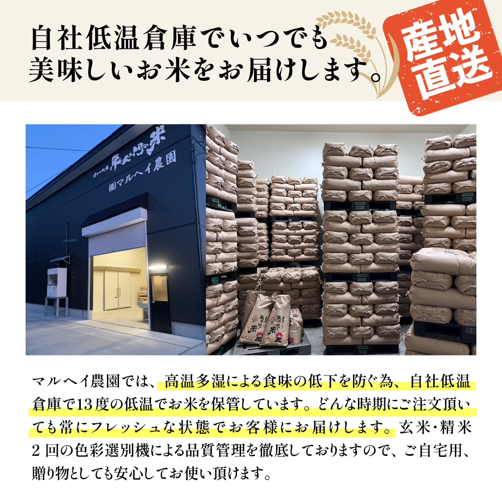令和7年産 特別栽培米 雪若丸 10kg ( 5kg×2袋 )