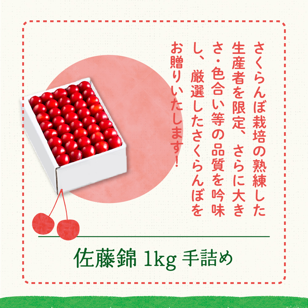 【先行予約】 令和8年産 さくらんぼ 佐藤錦 1kg ( 手詰め ) 2026年6月上旬～下旬頃お届け予定 山形県 米沢市