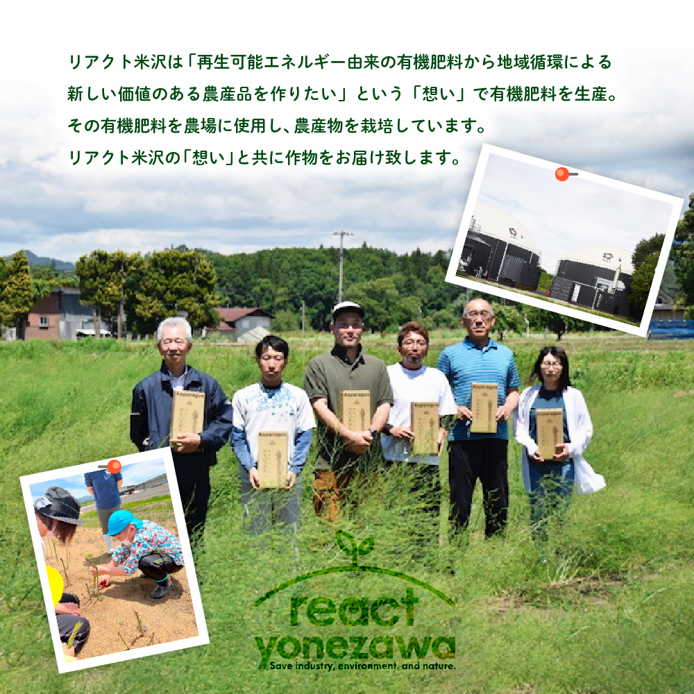 《 先行予約 》【 令和8年産 春芽 】 アスパラガス 1kg 1箱 〔 発送 ： 2026年5月中旬頃 ～ 6月中旬頃 まで 〕 朝採り 有機肥料栽培