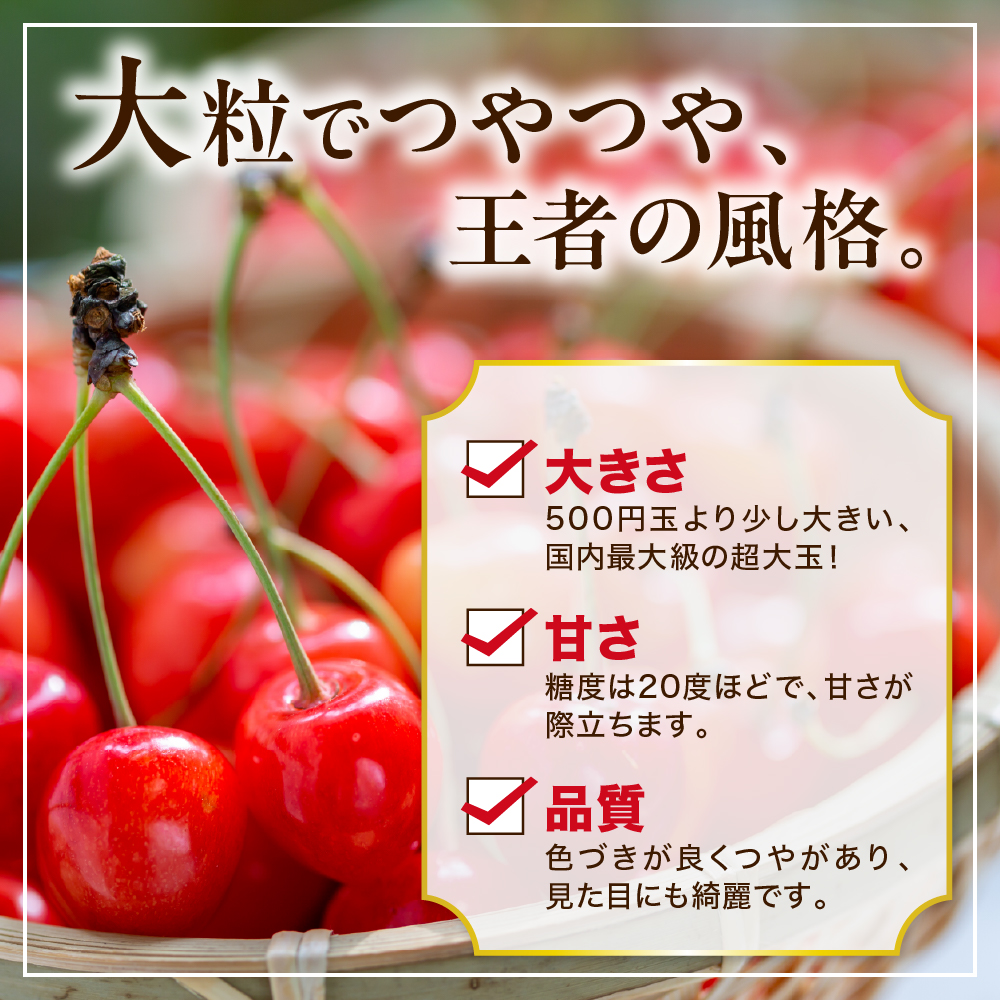 【先行予約】 令和8年産 さくらんぼ やまがた紅王 1箱 18粒 2L～3L玉 化粧箱入 2026年6月下旬～7月上旬頃お届け予定