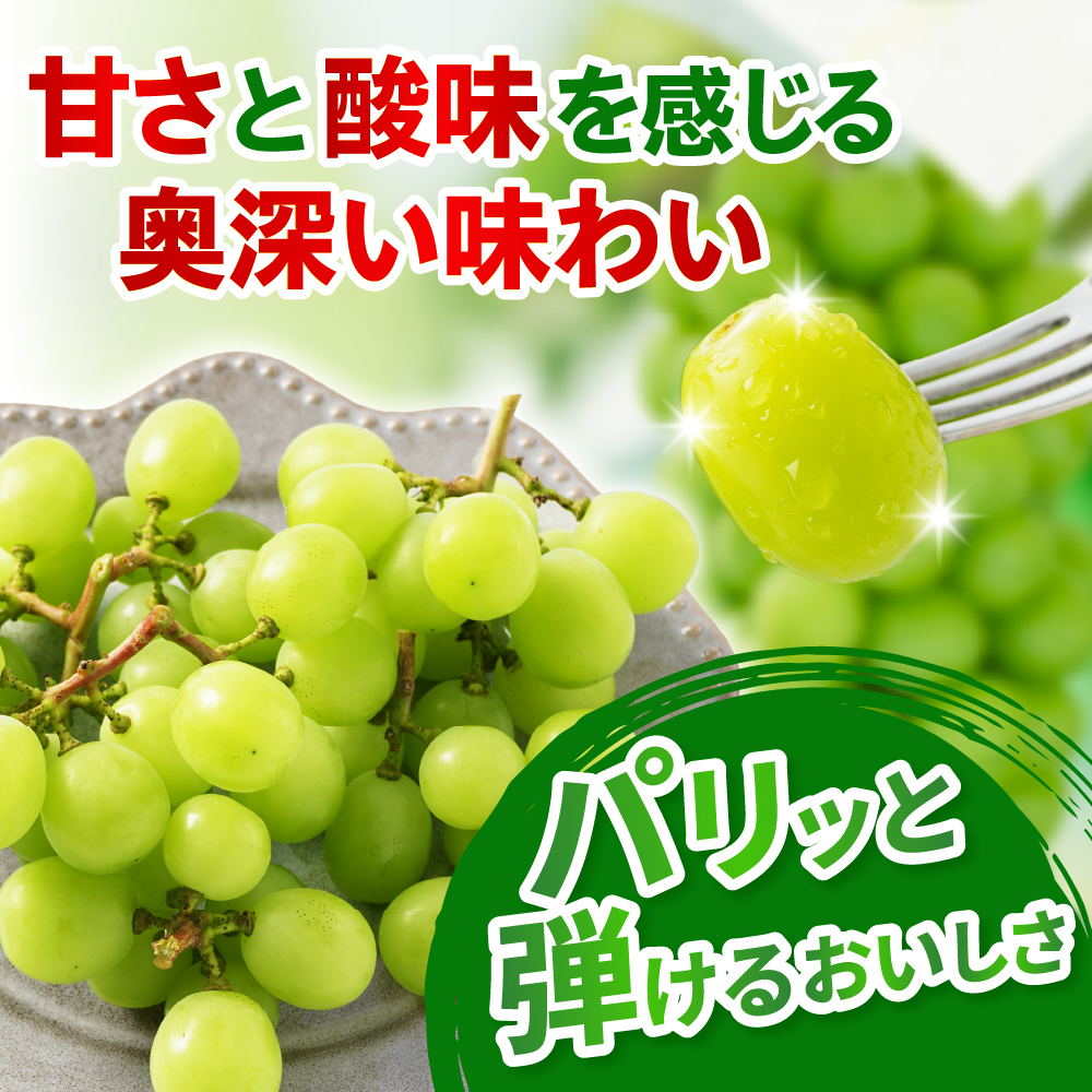 ãå
è¡äºçŽã ãæ°ééå®ã 什å8å¹Žç£ å€§ç ã·ã£ã€ã³ãã¹ã«ãã 1æ¿ 700g 2026幎9æäžæ¬é ïœãå±ãäºå®