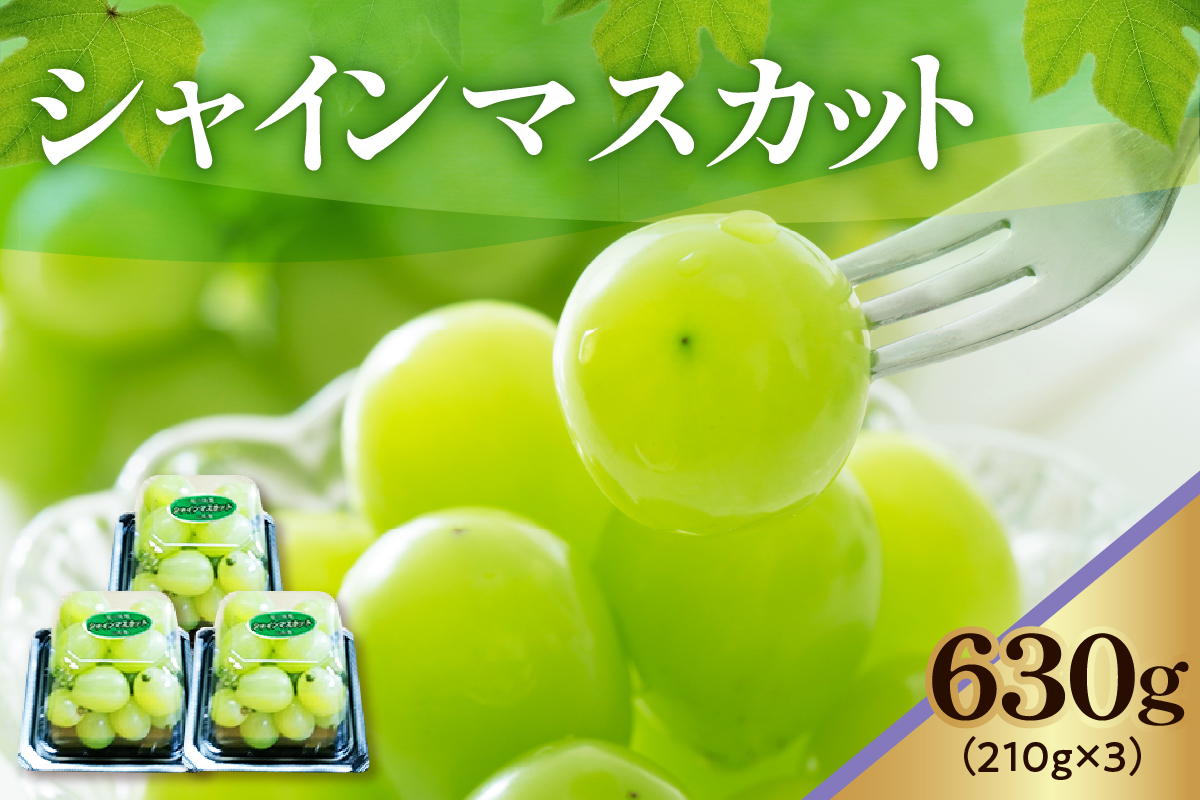 【先行予約】 【数量限定】 令和8年産 シャインマスカット 210g × 3パック 計 630g 2026年9月上旬頃～お届け予定