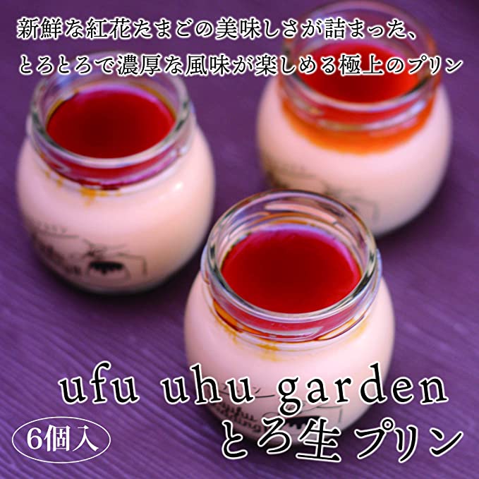 縲1譌・10繧サ繝繝磯剞螳壹 繧ヲ繝輔え繝輔ぎ繝シ繝繝ウ縺ョ縺ィ繧咲函繝励Μ繝ウシ90gテ6蛟具シ