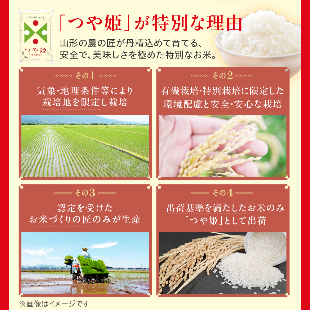 令和7年産 山形県産 つや姫 無洗米 10kg ( 5kg × 2袋 ) 白米 2025年産 産地直送 山形県 米沢市