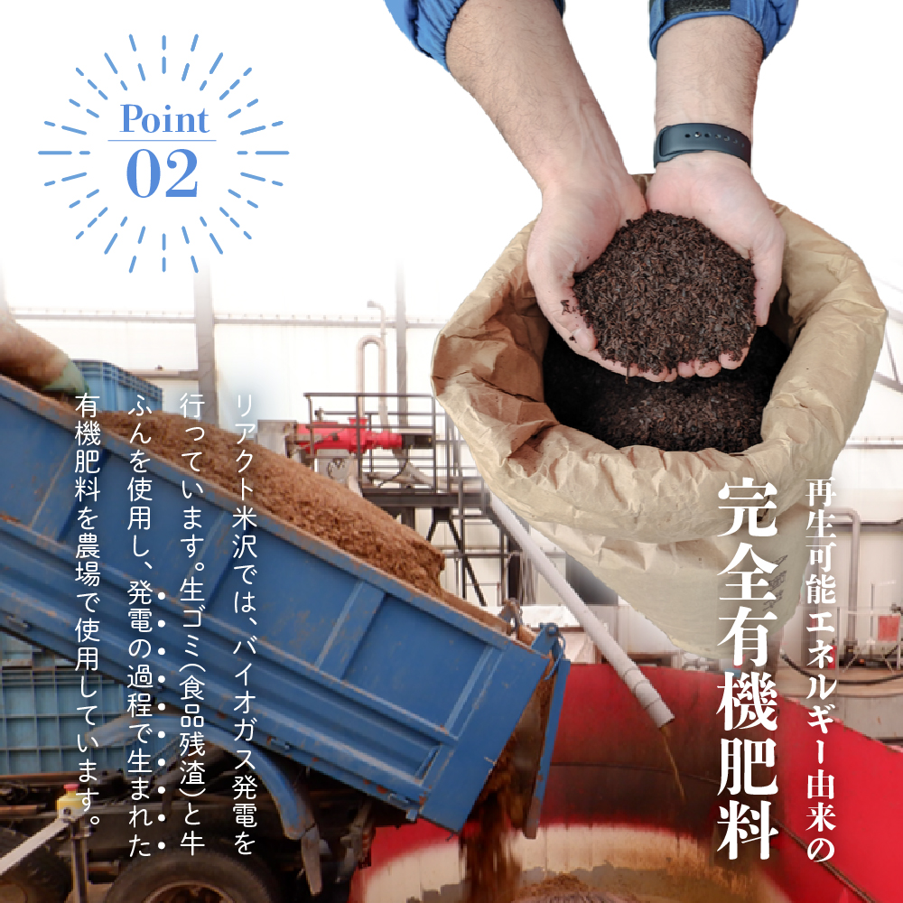 《 先行予約 》【 令和8年産 春芽 】 アスパラガス 1kg 1箱 〔 発送 ： 2026年5月中旬頃 ～ 6月中旬頃 まで 〕 朝採り 有機肥料栽培