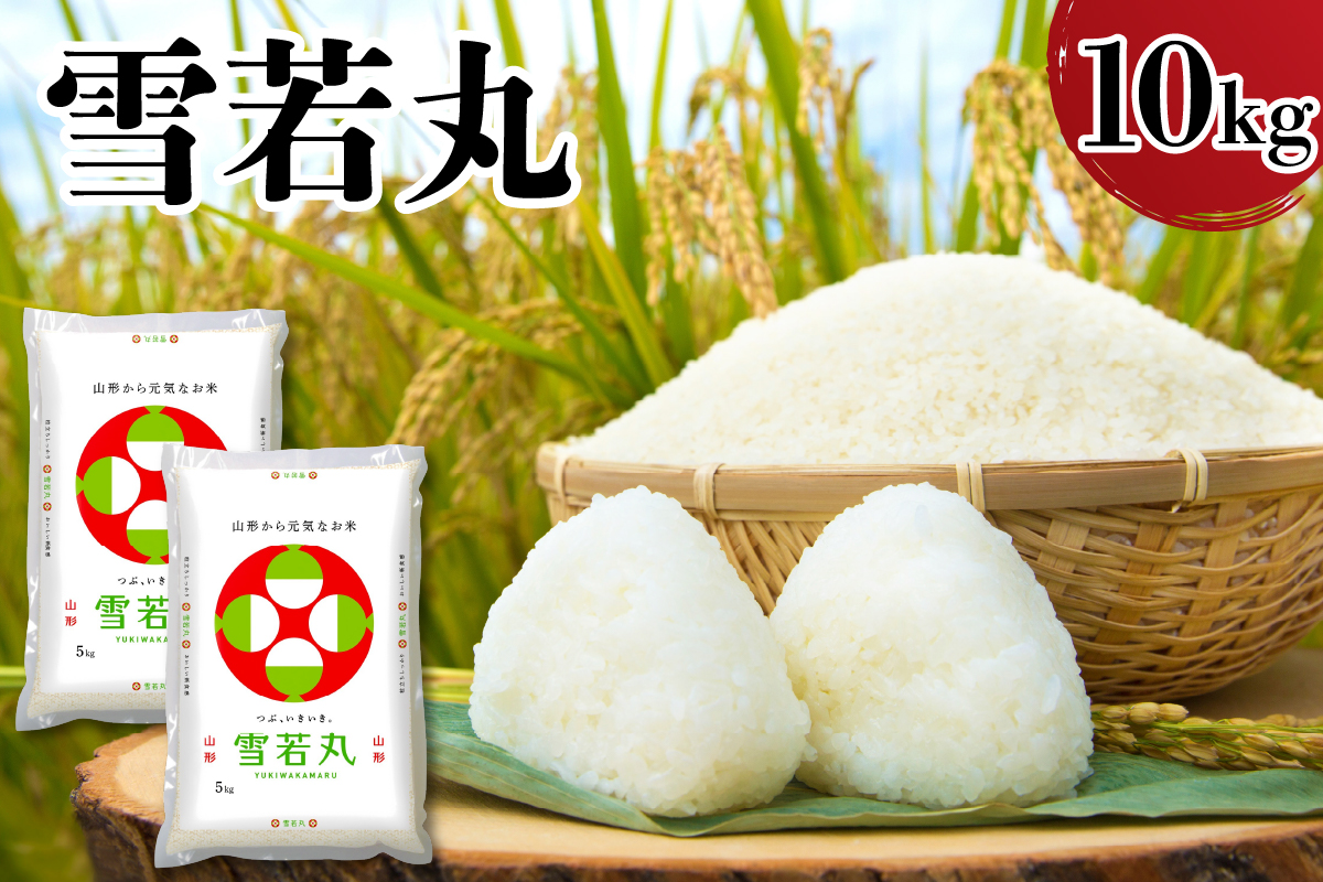 【令和7年産】 新米 山形県産 雪若丸 10kg 精米