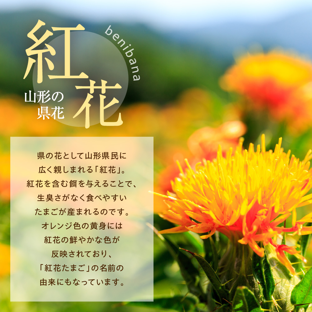 米沢プリン 80g × 6個 ウフウフガーデン 新鮮 紅花たまご 国産 牛乳 甘さ 控えめ 口どけ なめらか とろとろ 濃厚 プレーン プリン お菓子 スイーツ 山形県 米沢市
