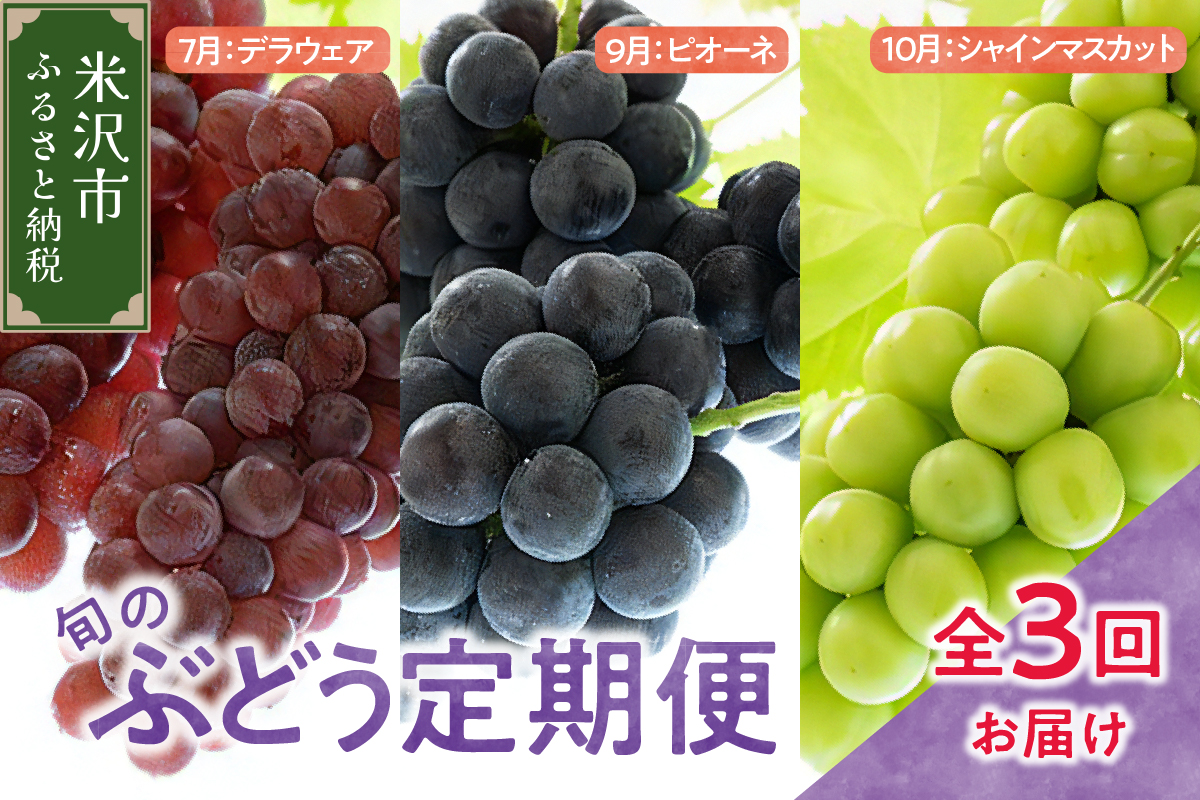 【先行予約】定期便 令和8年産 ぶどうの定期便 全3回 デラウェア ピオーネ シャインマスカット 2026年7月下旬頃～ お届け予定