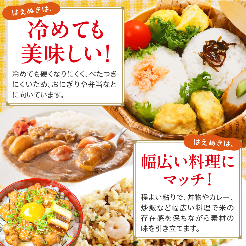 令和7年産 山形県産 はえぬき 10kg ( 5kg × 2袋 ) 精米 白米 2025年産 産地直送 山形県 米沢市