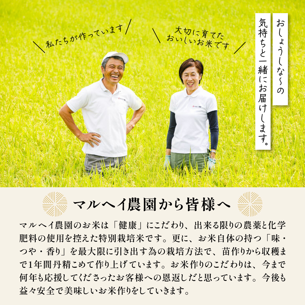 令和7年産 特別栽培米 雪若丸 10kg ( 5kg×2袋 )