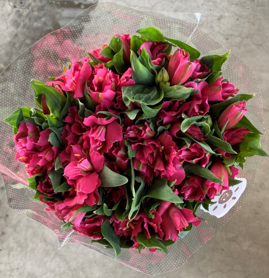 アルストロメリア 1束 ( 10本入り ) ピンク系 切り花