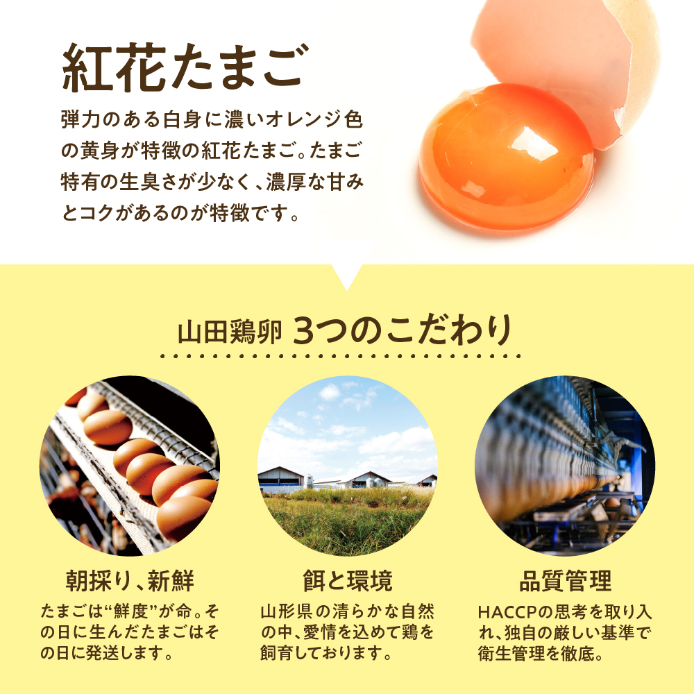 《数量限定》 ウフウフガーデン たまごやのブリオッシュ食パン 2本 (1本1.5斤) パン 朝食 朝ごはん トースト サンドイッチ 焼きたて 山田鶏卵 送料無料 山形県 米沢市