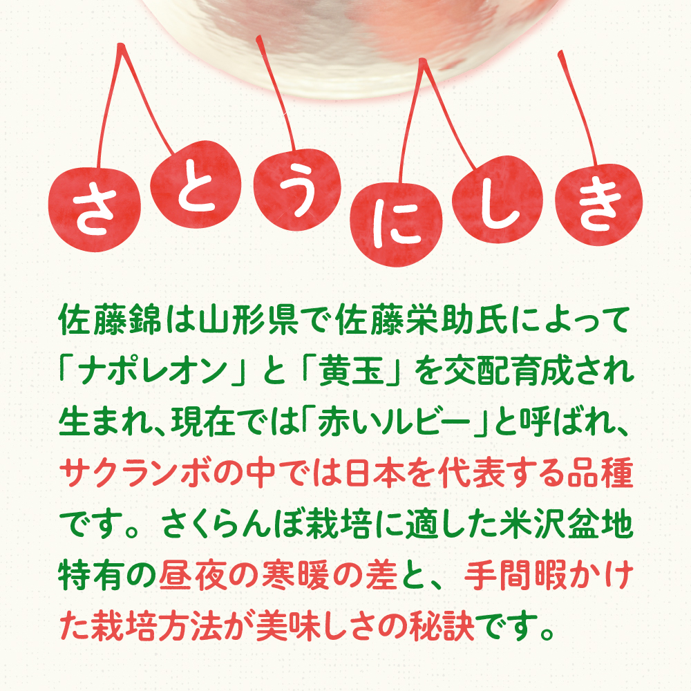 【先行予約】 令和8年産 さくらんぼ 佐藤錦 1kg ( 手詰め ) 2026年6月上旬～下旬頃お届け予定 山形県 米沢市