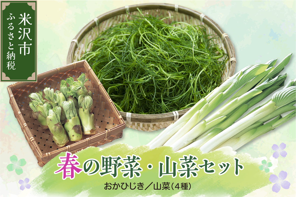 【先行予約】 令和8年産 春の山菜セット おかひじき 500g 山菜 1箱 ( うるい わらび みず ふき タラの芽 など 4種類 ) 2026年4月下旬～5月下旬頃 お届け予定