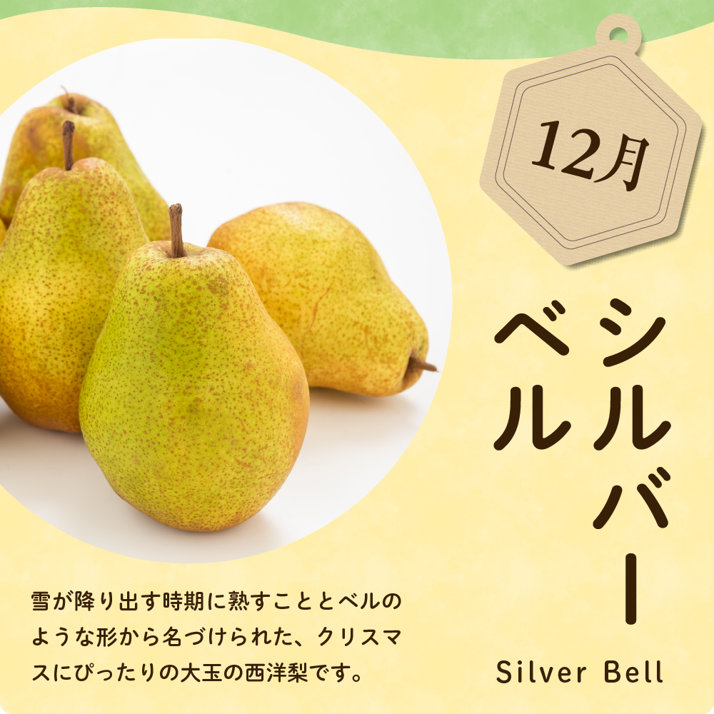 ãå
è¡äºçŽã å®æäŸ¿ 什å8å¹Žç£ è¥¿æŽæ¢šã®å®æäŸ¿ å
š4å é
é 4çš® à çŽ2kg èš çŽ8kg ãªãŒãã© ããªã²ããããªãŒã© ã©ã»ãã©ã³ã¹ ã·ã«ããŒãã« ãã«ãŒãã¢ããã€ã¶ãŒ å³éž 2025幎9æäžæ¬é ïœ çºééå§äºå® 山圢ç 米沢åž