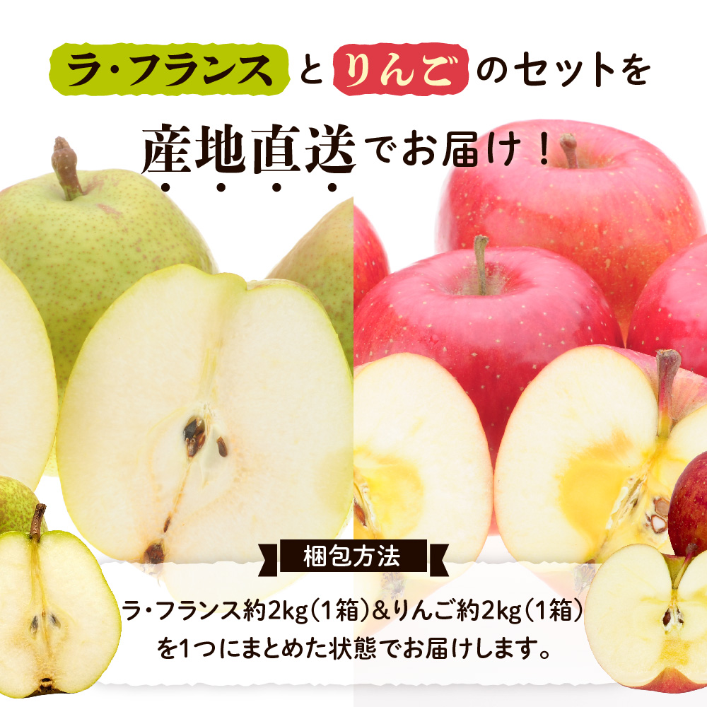 【先行予約】 令和8年産 りんご ＆ ラ・フランス 詰め合わせ セット 各 約2kg 計 約4kg サンふじ 西洋梨 2026年11月中旬～下旬頃 お届け予定 山形県 米沢市