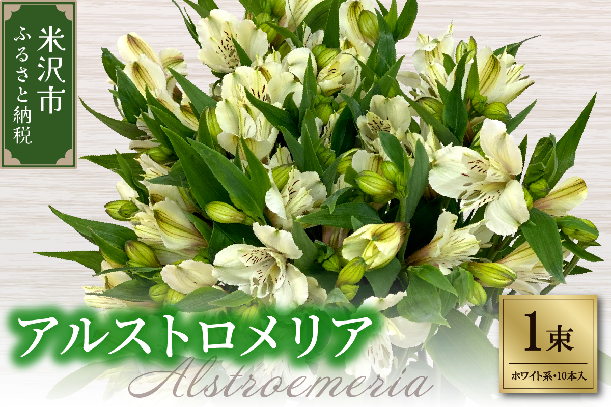 アルストロメリア 1束 ( 10本入り ) ホワイト系 切り花