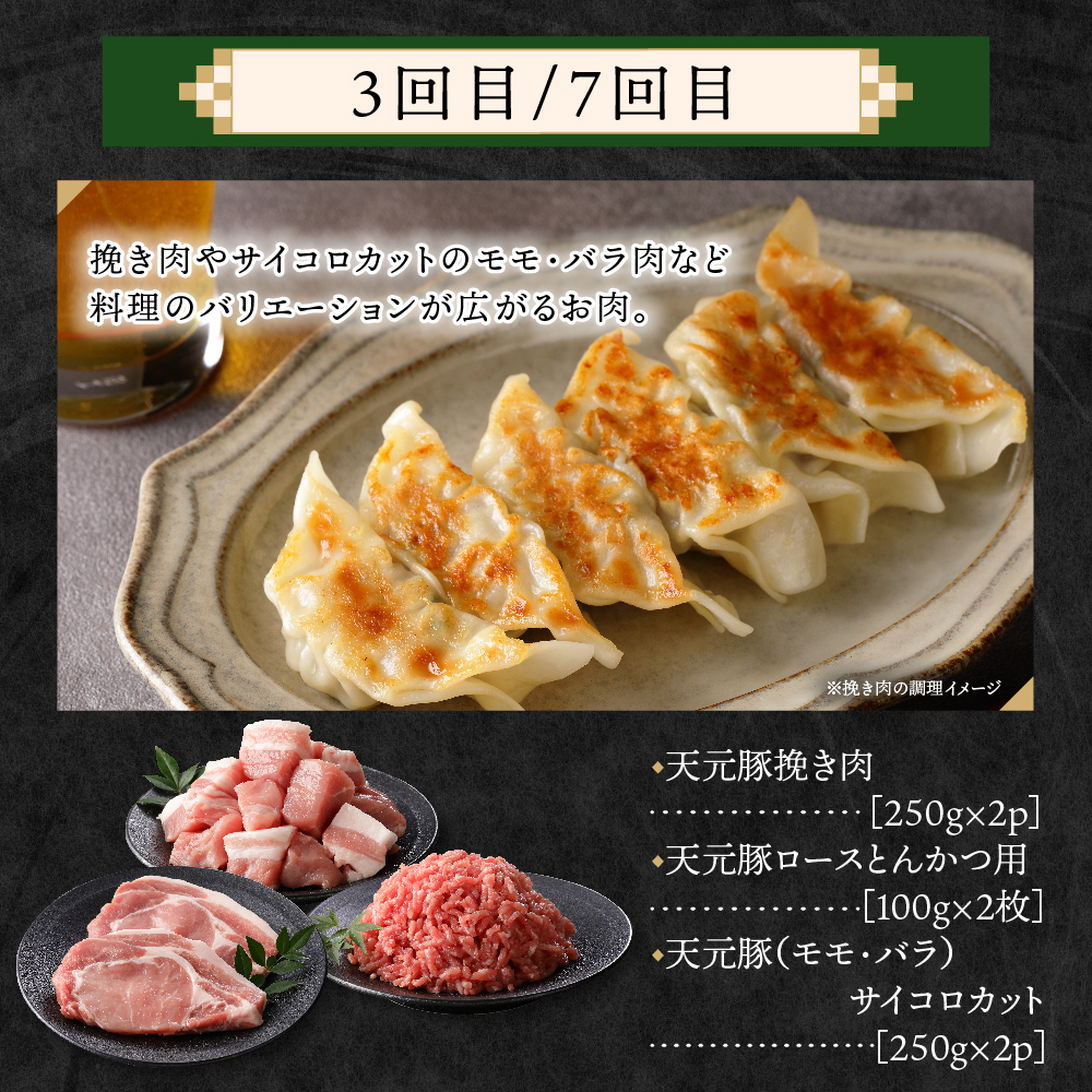 【定期便】 8ヶ月定期便 天元豚 セット 全8回 豚肉 ロース バラ 小間 モモ 挽き肉 便利 小分け 冷凍 豚肉 しゃぶしゃぶ 焼肉 とんかつ 定期 コース 食べ比べ 詰め合わせ ブランド豚 ロース ひき肉 小間 バラ モモ 豚 スライス サイコロ おかず お取り寄せ 東北 山形県 米沢市