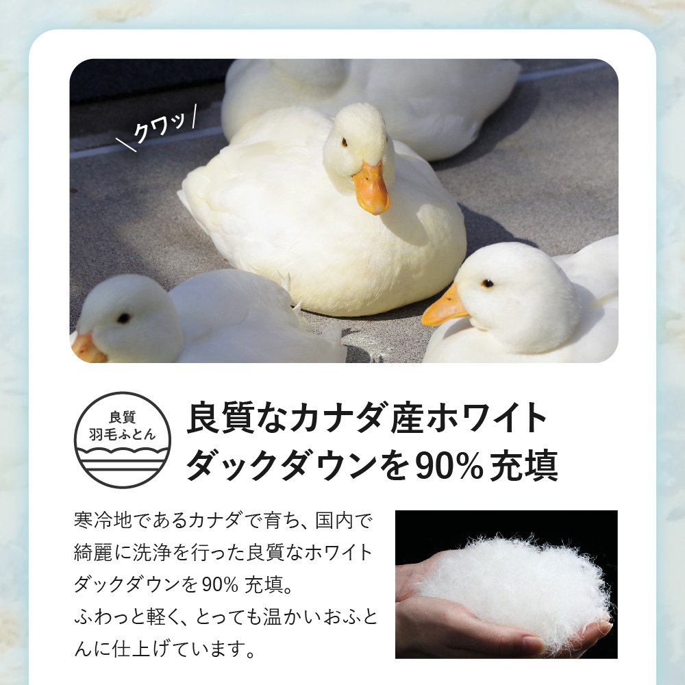 【 羽毛布団 リフォーム ホワイトダックダウン 90％ 】 羽毛追加増量 シングル 1枚 〔 羽毛が移動しない 特殊構造 〕 ふとん 羽毛布団