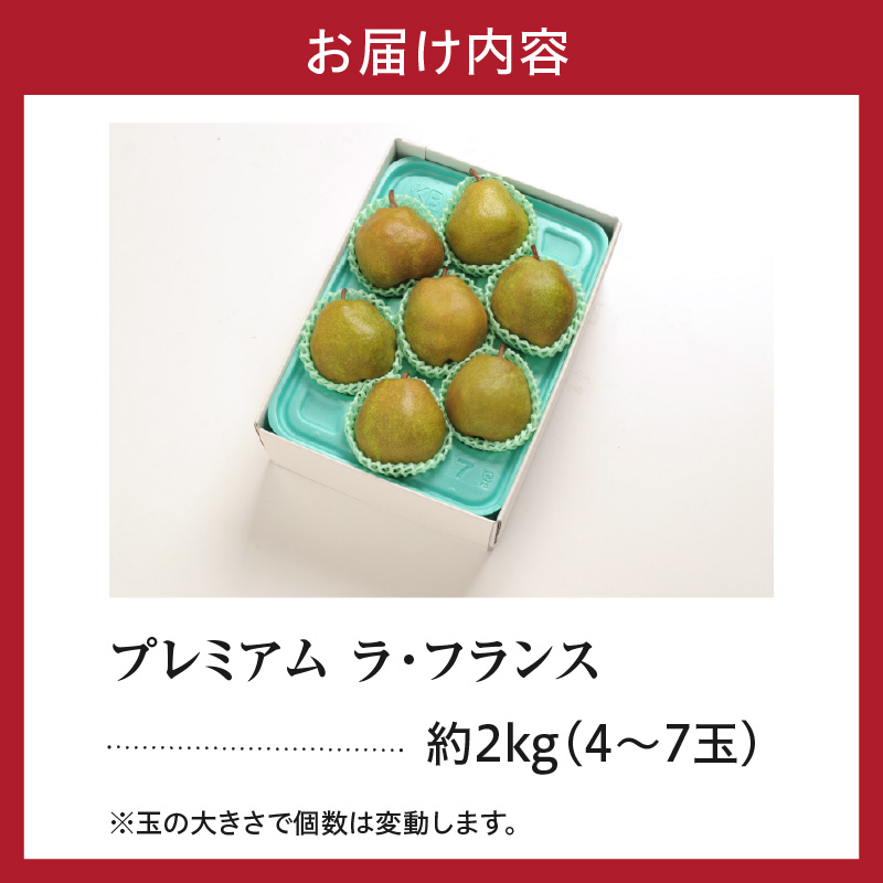 【先行予約】 令和8年産 プレミアム ラ・フランス 約2kg 4玉 ～ 7玉 園地限定 フルーツアドバイザー 厳選 2026年11月中旬～下旬頃 お届け予定 山形県 米沢市