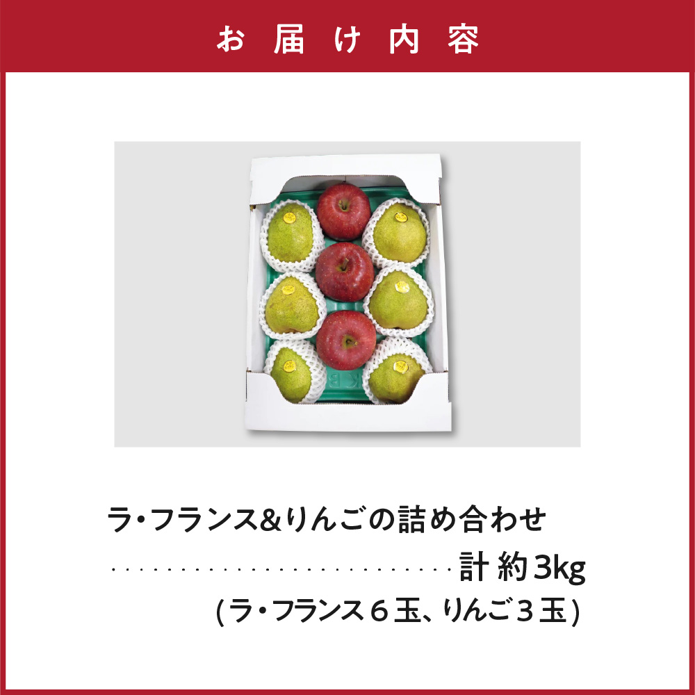 ãå
è¡äºçŽã 什å8å¹Žç£ ã©ã»ãã©ã³ã¹ & ããã è©°ãåãã èš çŽ3kg ã©ã»ãã©ã³ã¹ 6ç ããã 3ç 2026幎11æäžæ¬ïœ12æäžæ¬ ãå±ãäºå® 山圢ç 米沢åž