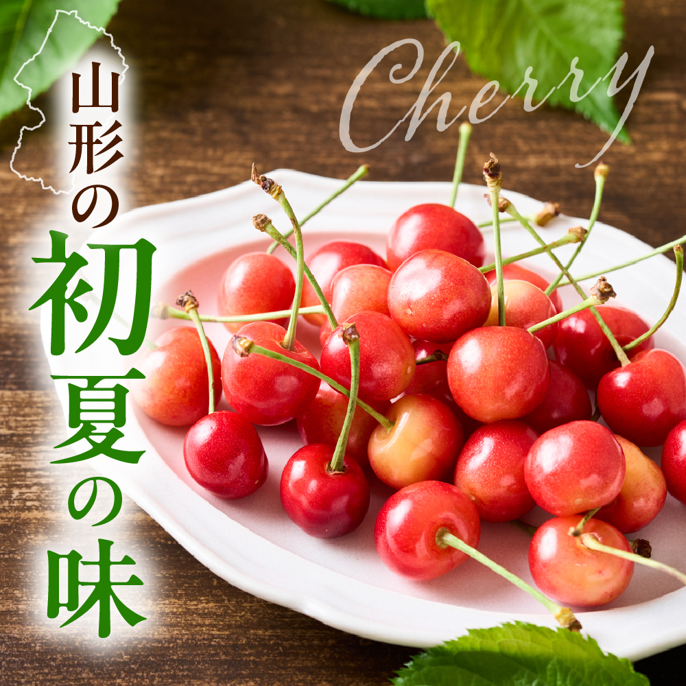 【先行予約】 令和8年産 さくらんぼ やまがた紅王 1箱 18粒 2L～3L玉 化粧箱入 2026年6月下旬～7月上旬頃お届け予定
