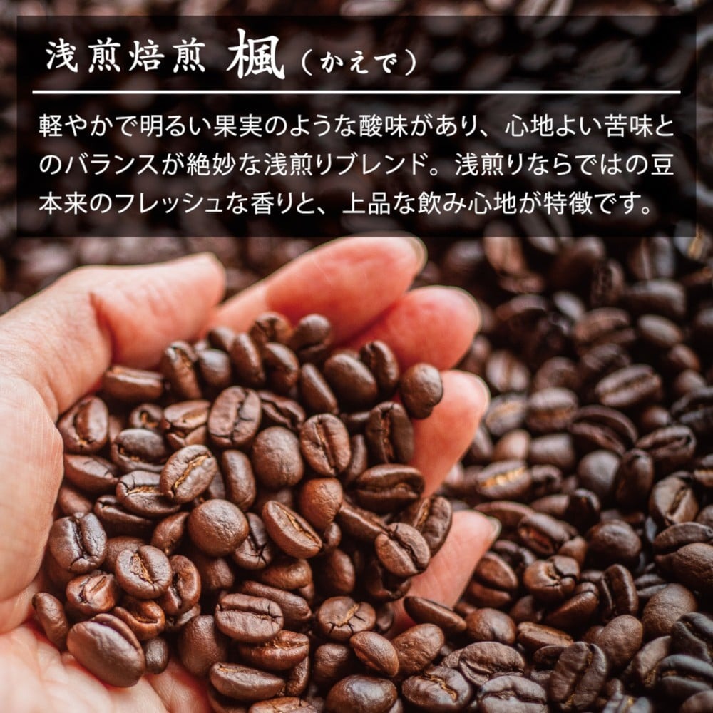 【3ヶ月定期便】 鷹山堂蔵造り焙煎コーヒー豆 2種類各100g（計200g）/月
