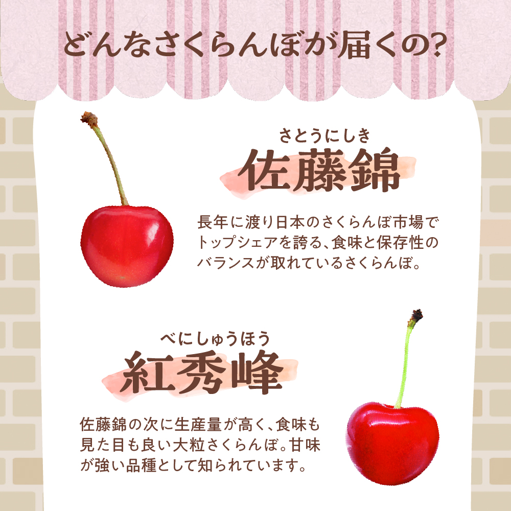 【先行予約】 令和8年産 さくらんぼ 300g ( 100g × 3パック ) 品種おまかせ ( 佐藤錦 紅秀峰 紅てまり 大将錦 いずれか )
