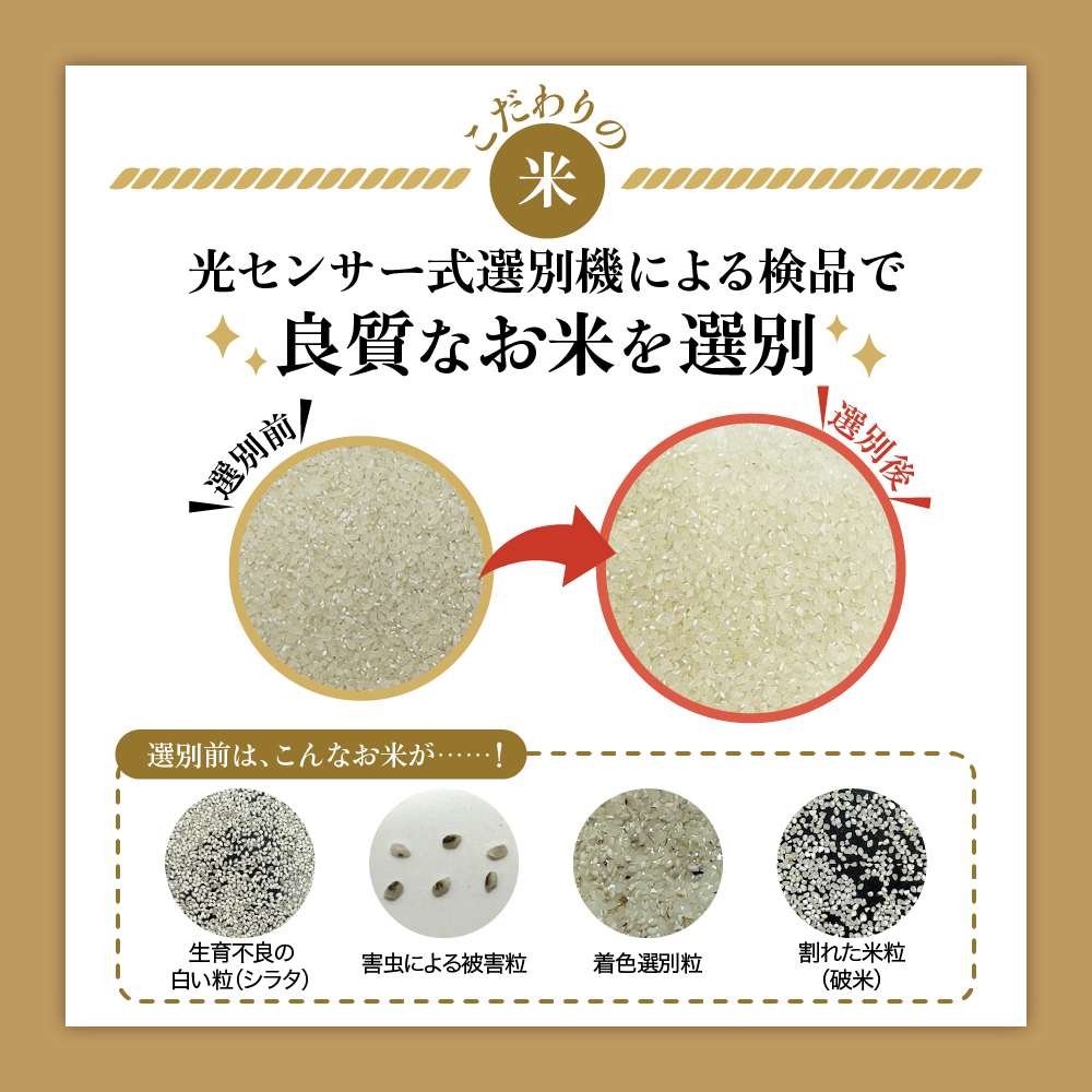 令和7年産 はえぬき 8kg（2kg×4袋）お米マイスター厳選米 2025年産