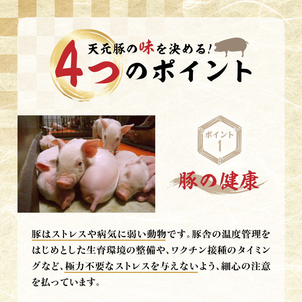 天元豚 ソーセージ 2種 セット 計 8パック （ スモーク 120g × 4パック / ノンスモーク 120g × 4パック ） 2種類 天元豚 ブランド豚 豚肉 ソーセージ 加工肉 食肉公社