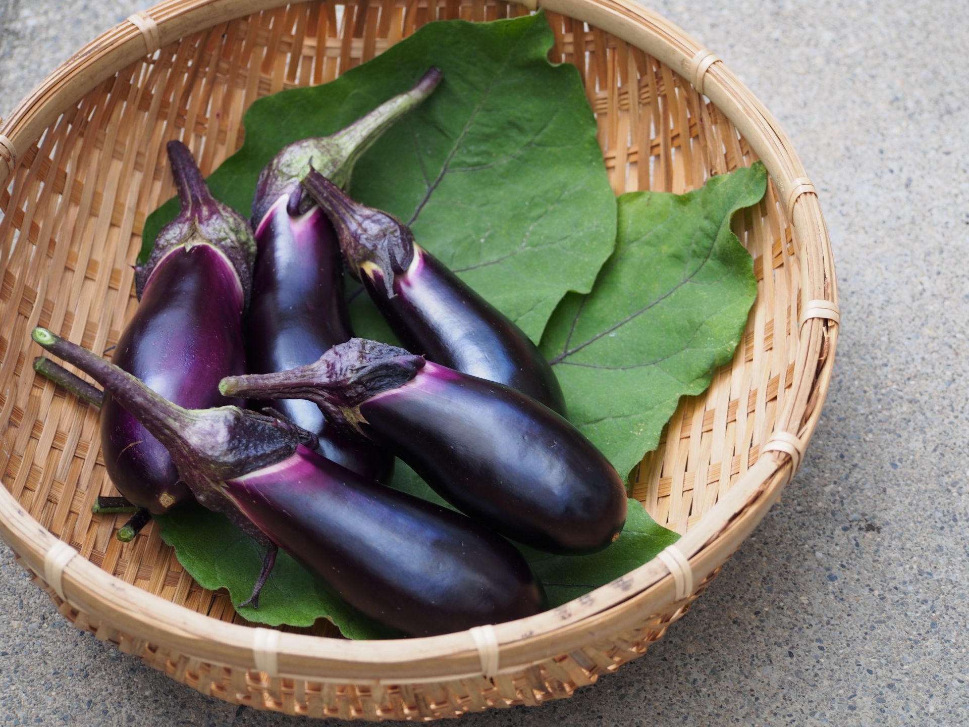 【先行予約】 令和8年産 トウモロコシと夏野菜セット セブンティーントウモロコシ ピーマン 長茄子 キュウリ 枝豆 2026年8月上旬～下旬頃 お届け予定