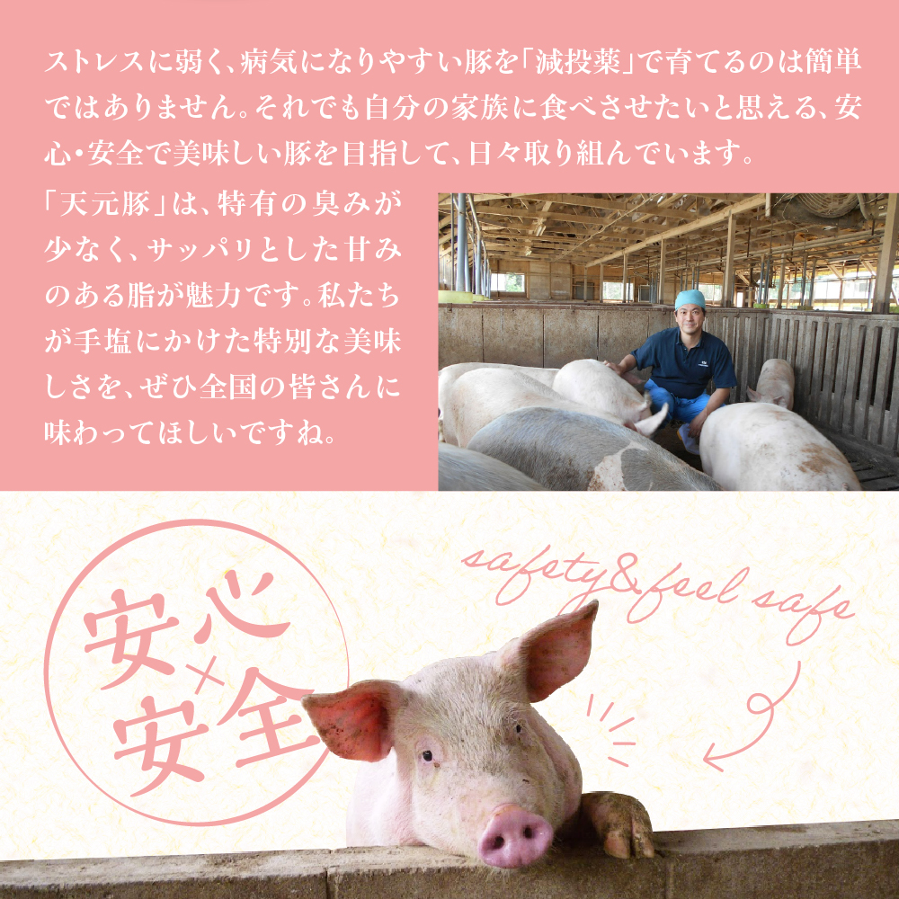 天元豚 ソーセージ 2種 セット 計 8パック （ スモーク 120g × 4パック / ノンスモーク 120g × 4パック ） 2種類 天元豚 ブランド豚 豚肉 ソーセージ 加工肉 食肉公社