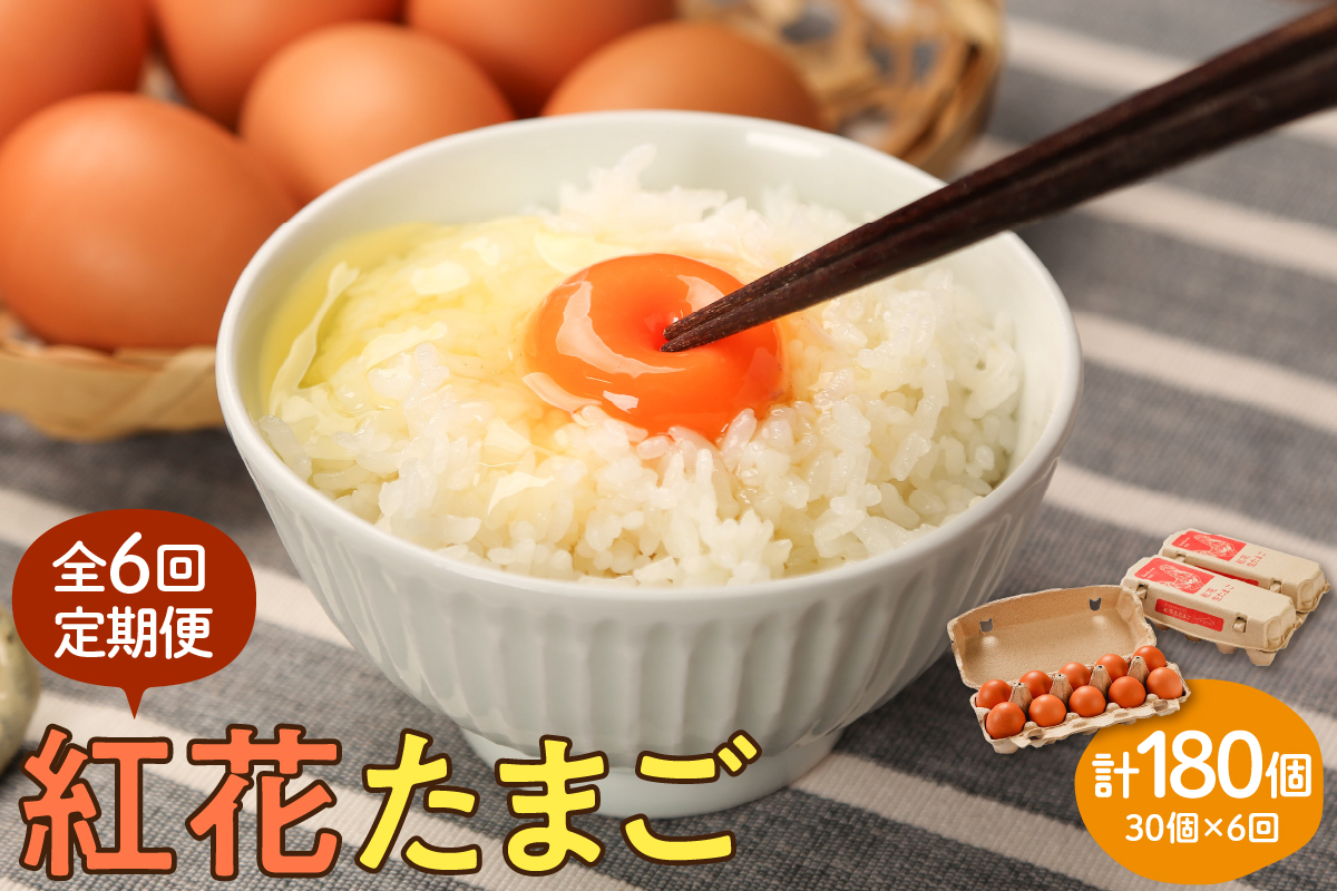 【6ヶ月定期便】 紅花たまご 30個セット (10個×3パック)/月 計180個