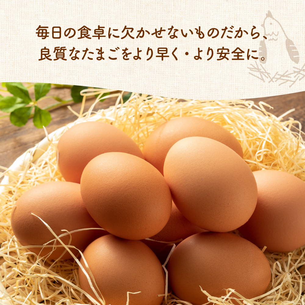 紅花たまご 60個セット 10個×6パック 卵 たまご 赤玉 鶏卵 黄身 白身 産みたて 卵かけ ご飯 親子丼 オムレツ 朝食 たんぱく質 新鮮 栄養 濃厚 甘み コク 山田鶏卵 送料無料 山形県 米沢市