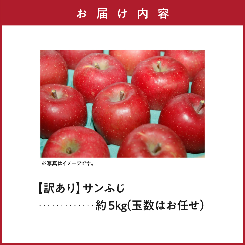 【先行予約】 令和8年産 訳あり りんご サンふじ 約5kg 玉数 お任せ ご家庭用 2026年11月中旬～12月上旬頃 お届け予定 山形県 米沢市