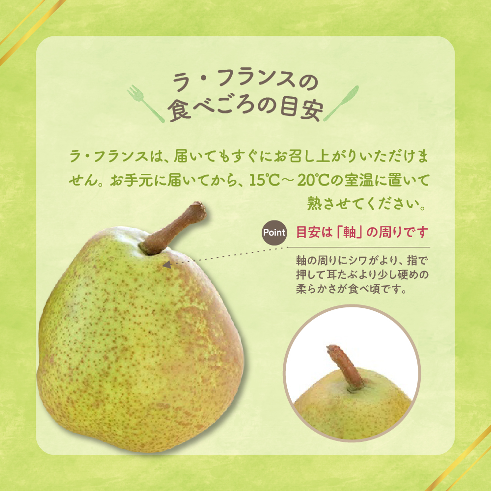 【先行予約】 令和8年産 ラ・フランス 約5kg 14玉 ～ 16玉 西洋梨 2026年11月上旬～12月上旬 お届け予定 山形県 米沢市
