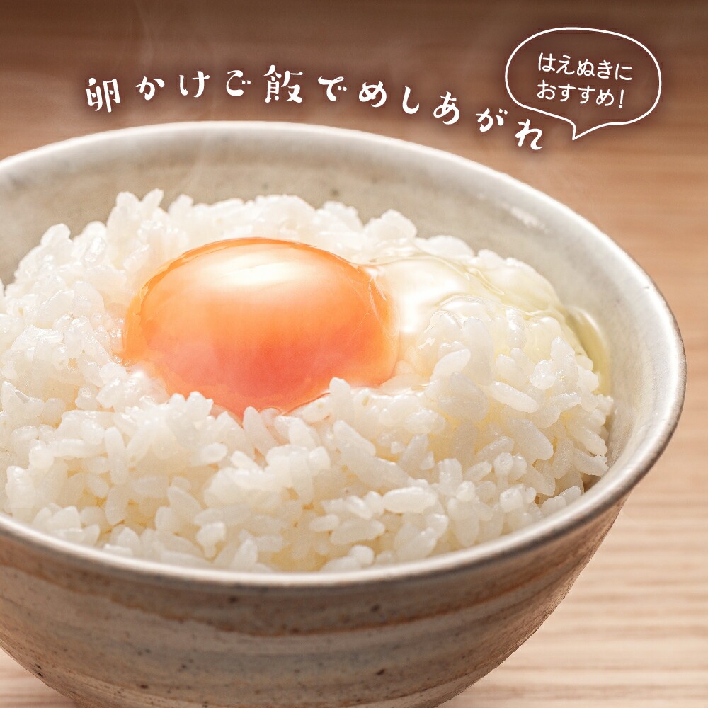 令和7年産 はえぬき 5kg（5kg×1袋）お米マイスター厳選米 2025年産