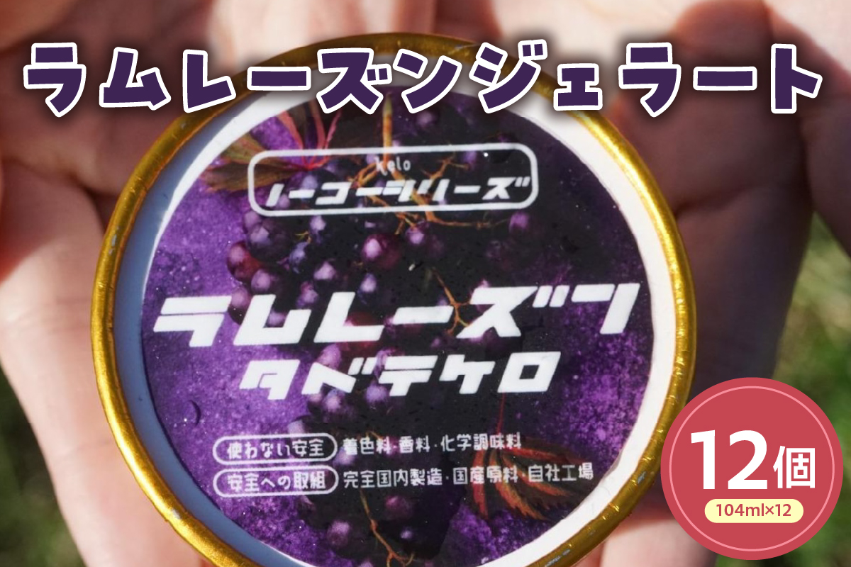 ラムレーズンジェラート(104ml)〔12個入り〕 レーズン アイス スイーツ 洋菓子 お菓子 デザート 贈答 贈り物 ギフト プレゼント お取り寄せ 送料無料 山形県 米沢市