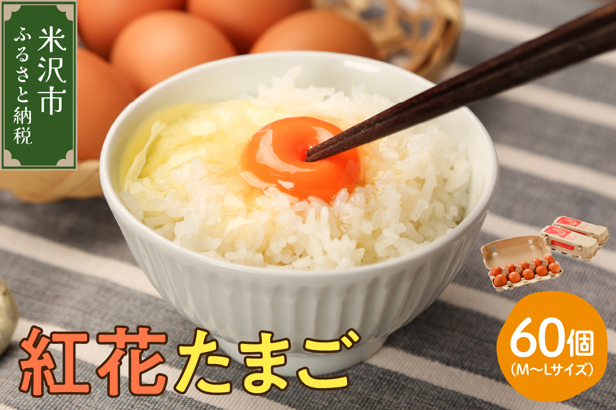 紅花たまご 60個セット 10個×6パック 卵 たまご 赤玉 鶏卵 黄身 白身 産みたて 卵かけ ご飯 親子丼 オムレツ 朝食 たんぱく質 新鮮 栄養 濃厚 甘み コク 山田鶏卵 送料無料 山形県 米沢市