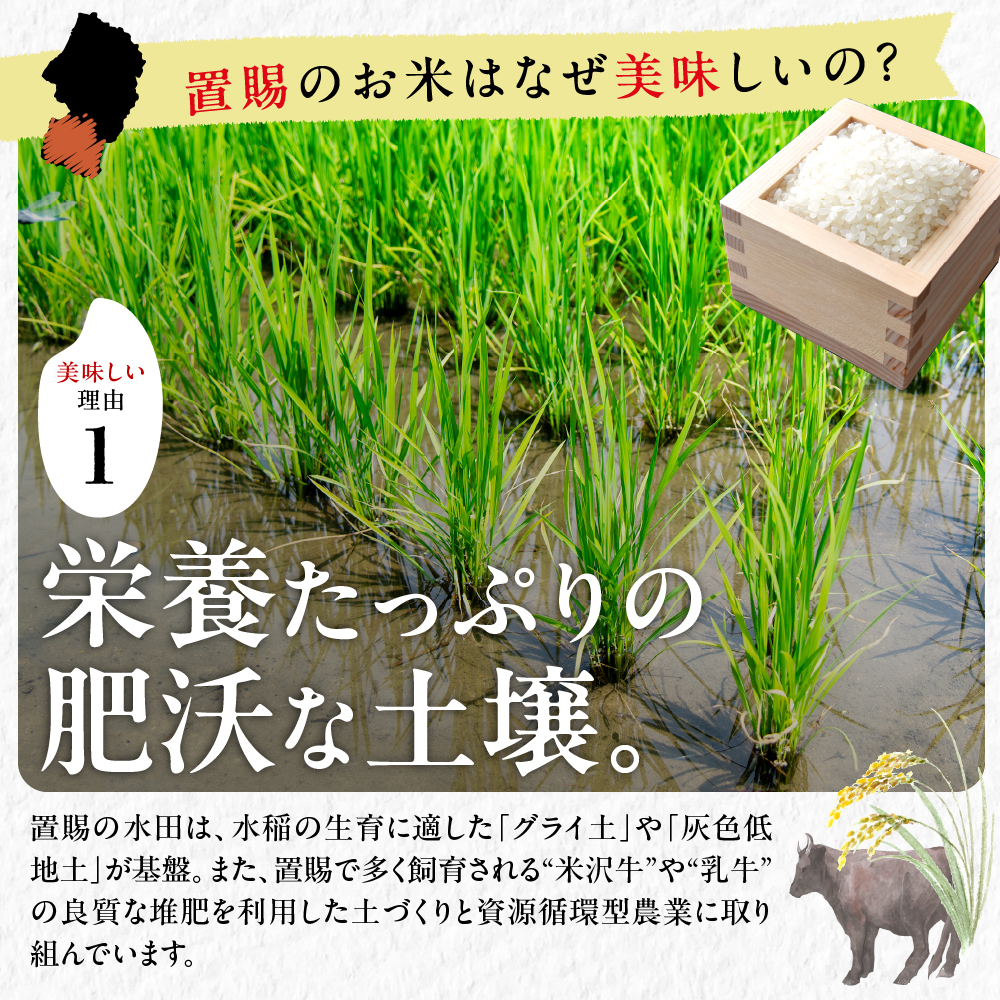 令和7年産 山形県産 はえぬき 5kg 精米 白米 2025年産 産地直送 山形県 米沢市