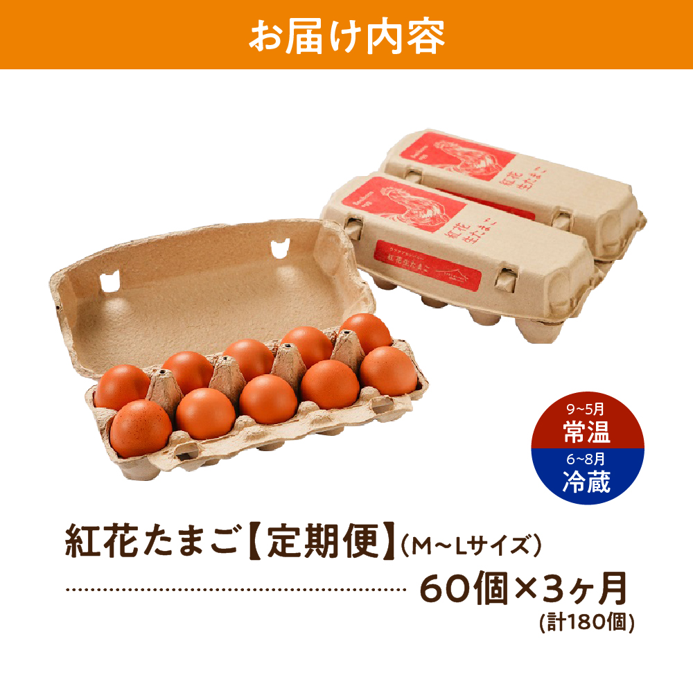 【3ヶ月定期便】 紅花たまご60個セット 10個×6パック/月 計 180個 卵 たまご 赤玉 鶏卵 産みたて 卵かけ ご飯 親子丼 オムレツ 朝食 たんぱく質 新鮮 栄養 濃厚 甘み コク 山田鶏卵 送料無料 山形県 米沢市