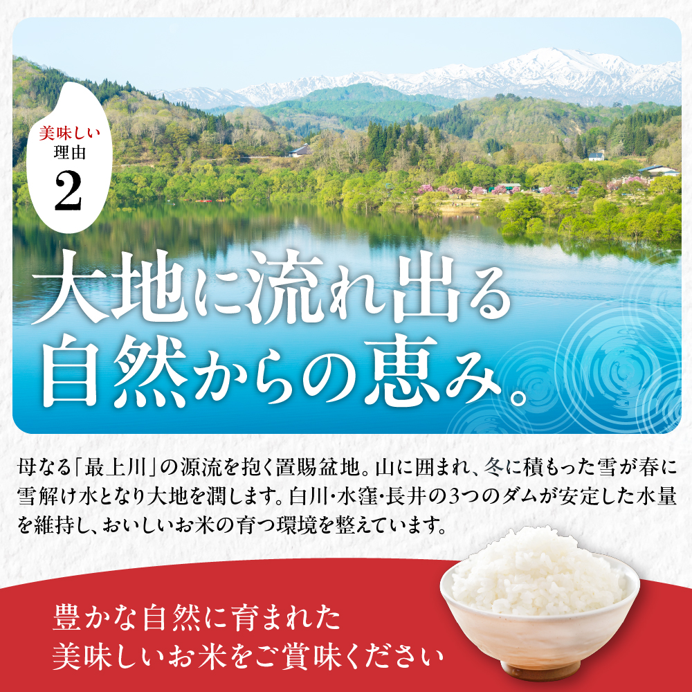令和7年産 山形県産 つや姫 無洗米 10kg ( 5kg × 2袋 ) 白米 2025年産 産地直送 山形県 米沢市