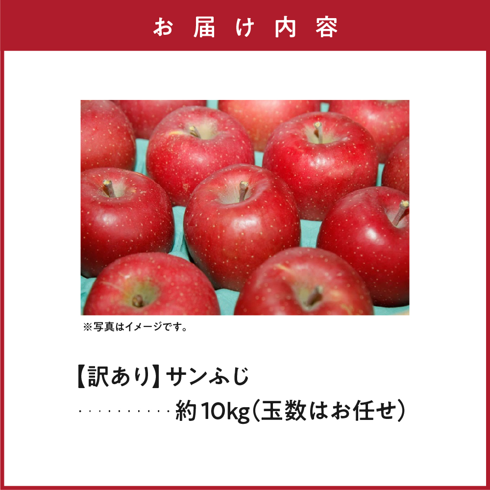 【先行予約】 令和8年産 訳あり りんご サンふじ 約10kg 玉数 お任せ ご家庭用 2026年11月中旬～12月上旬頃 お届け予定 山形県 米沢市