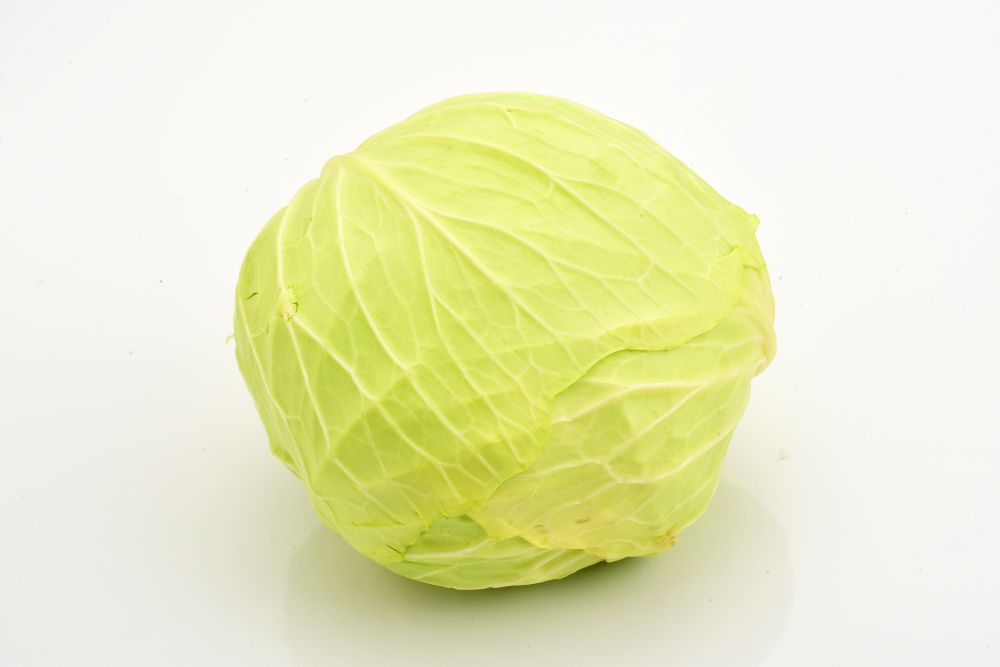 【先行予約】 定期便 全5回 配送 令和8年産 季節めぐりセット 野菜の定期便 山菜 夏野菜 芋煮 寒中野菜 漬物