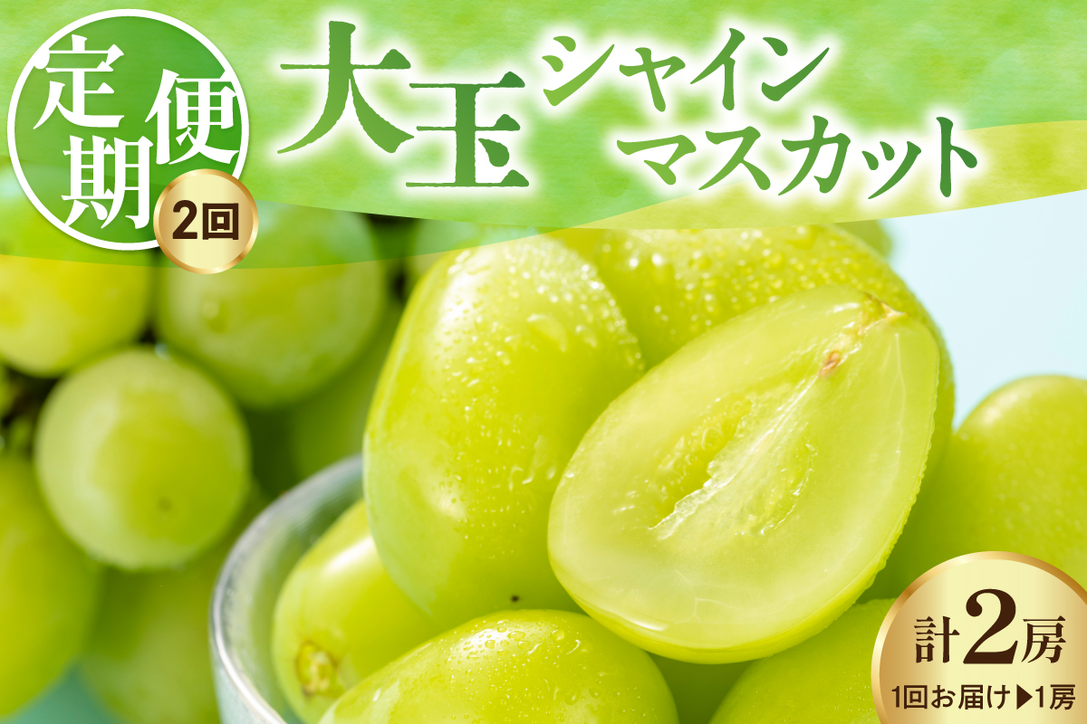 【先行予約】 【定期便】 令和8年産 大玉 シャインマスカット 1房 ( 700g ) × 2回 2026年9月下旬頃～お届け予定
