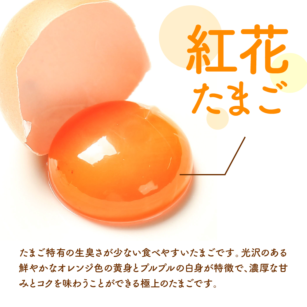 【3ヶ月定期便】 紅花たまご60個セット 10個×6パック/月 計 180個 卵 たまご 赤玉 鶏卵 産みたて 卵かけ ご飯 親子丼 オムレツ 朝食 たんぱく質 新鮮 栄養 濃厚 甘み コク 山田鶏卵 送料無料 山形県 米沢市
