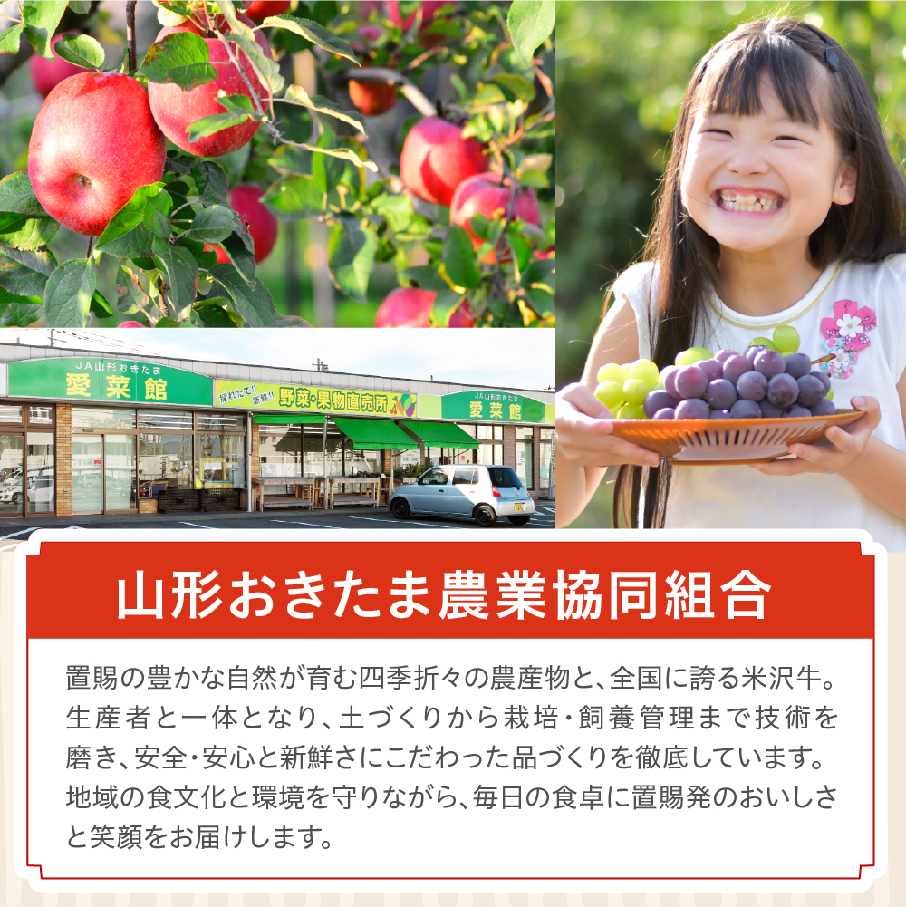 【先行予約】 令和8年産 訳あり りんご サンふじ 約5kg 玉数 お任せ ご家庭用 2026年11月中旬～12月上旬頃 お届け予定 山形県 米沢市