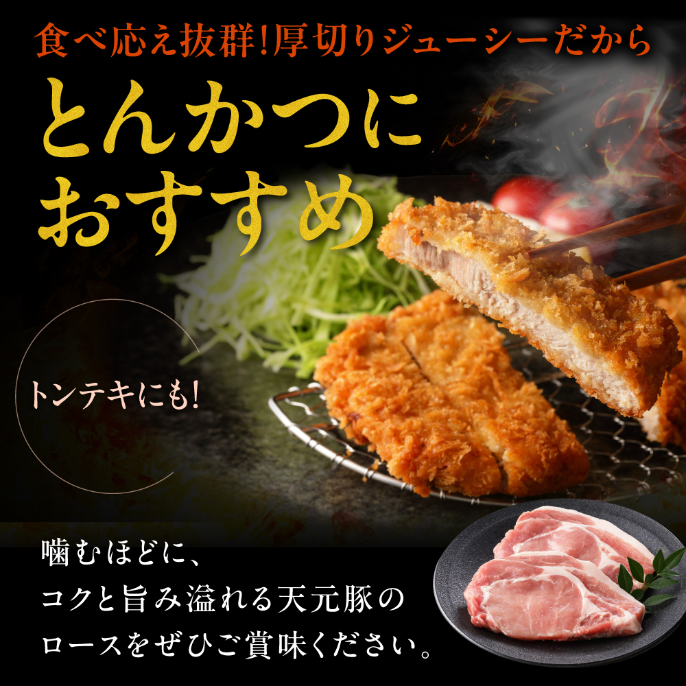 è±è 倩å
è± ããŒã¹ ãšããã€çš 600g ( 100g à 6æ ) ãã©ã³ãè± ç²Ÿè ããŒã¯ ã¹ã©ã€ã¹ äžååã åœç£ 山圢ç 米沢åž