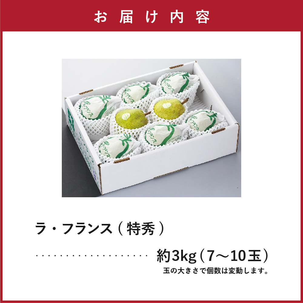 【先行予約】 令和8年産 ラ・フランス 特秀 約3kg 7玉 ～ 10玉 2026年11月中旬～下旬頃 お届け予定 山形県 米沢市